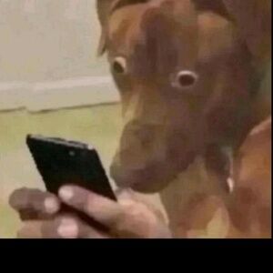 Meet your Posher, Jojo